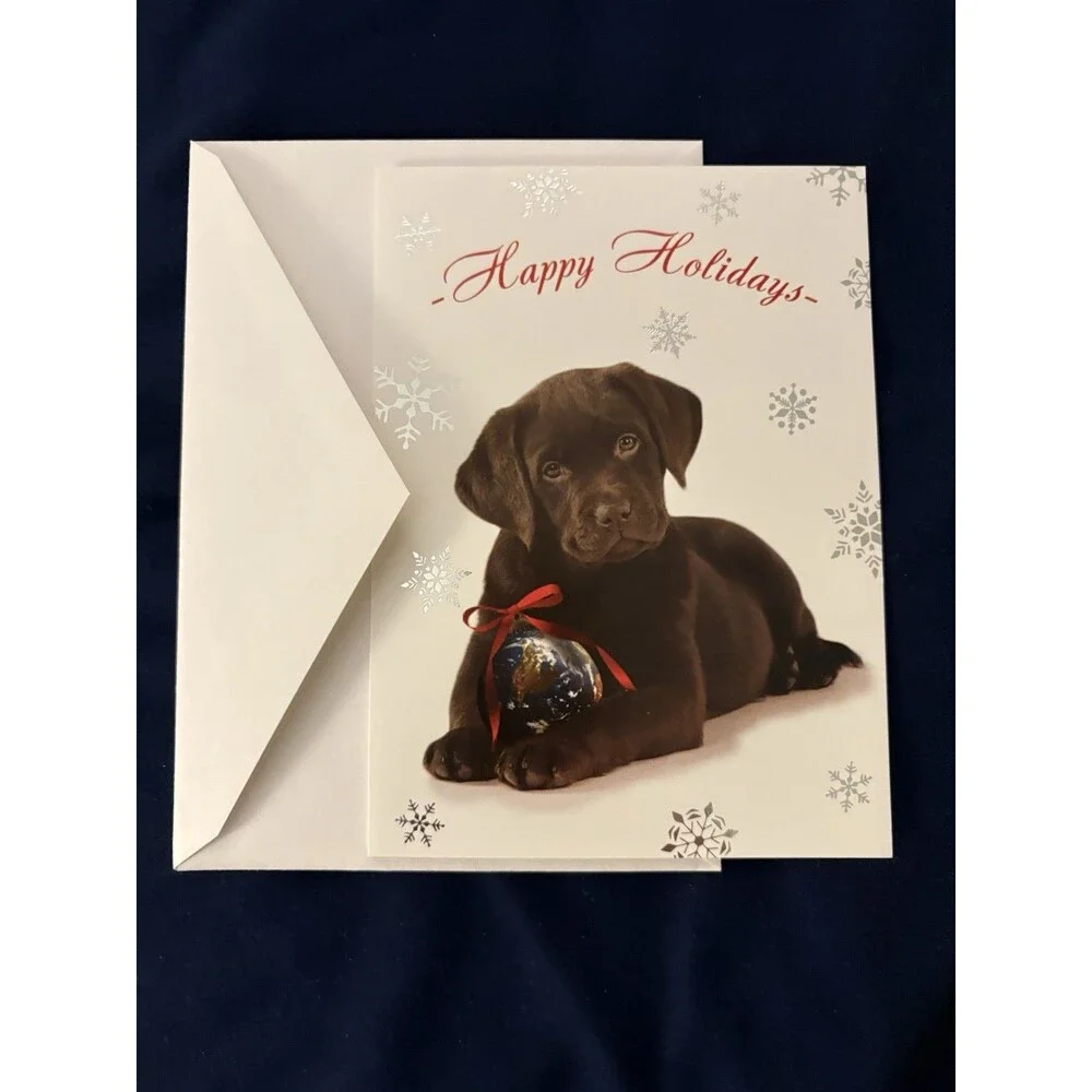 Seasons Greetings Card with White Envelope | Dog design | By Amnesty Intl